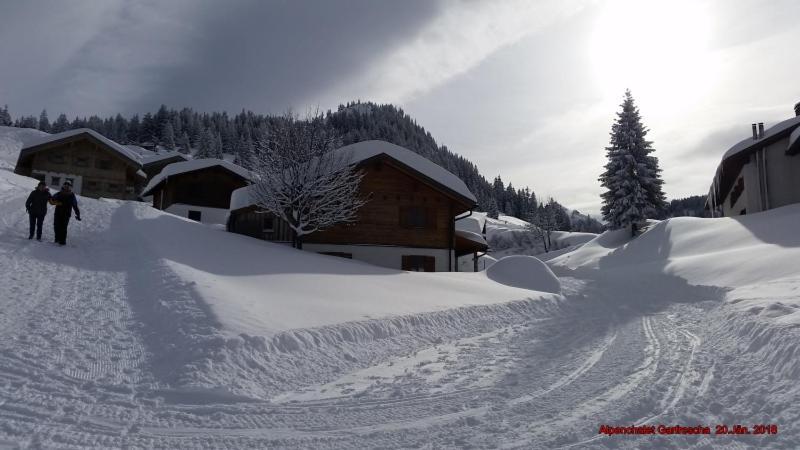 Villa Alpenchalet Garfrescha Sankt Gallenkirch Exterior foto